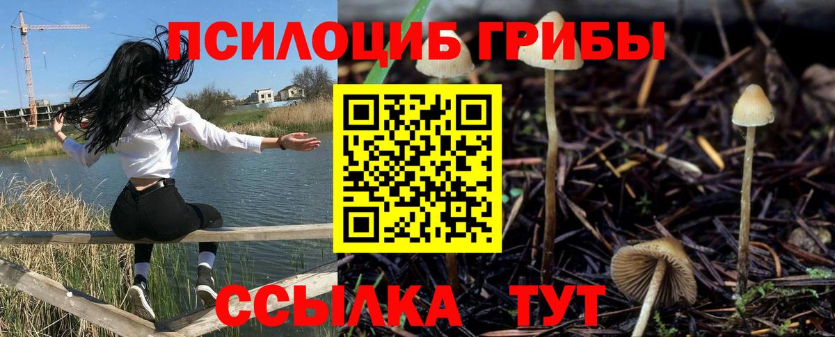 Дербент  Галлюциногенные грибы прущие грибы  Галлюциногенные грибы прущие грибы  Вход с VPN 